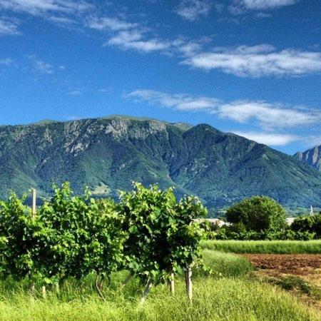 Grappaland Lägenhet Crespano del Grappa Exteriör bild