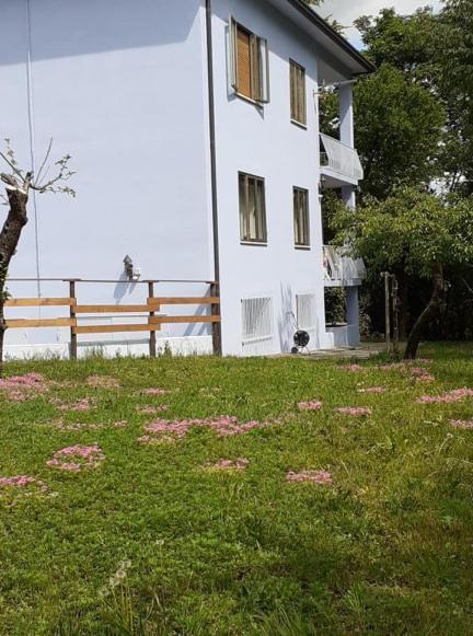 Grappaland Lägenhet Crespano del Grappa Exteriör bild
